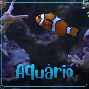slide-category6.png